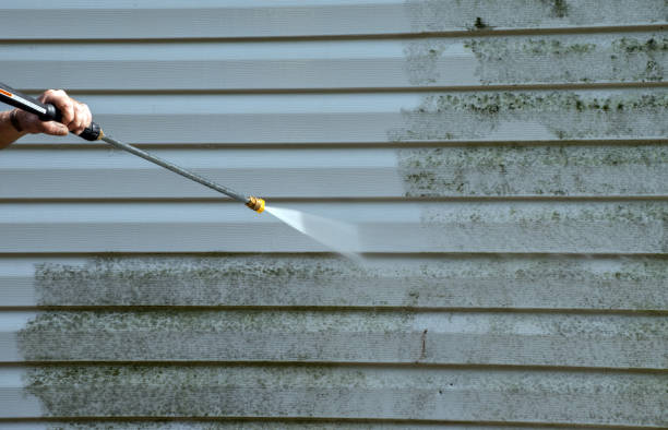 Best Mold Remediation  in Syracuse, KS