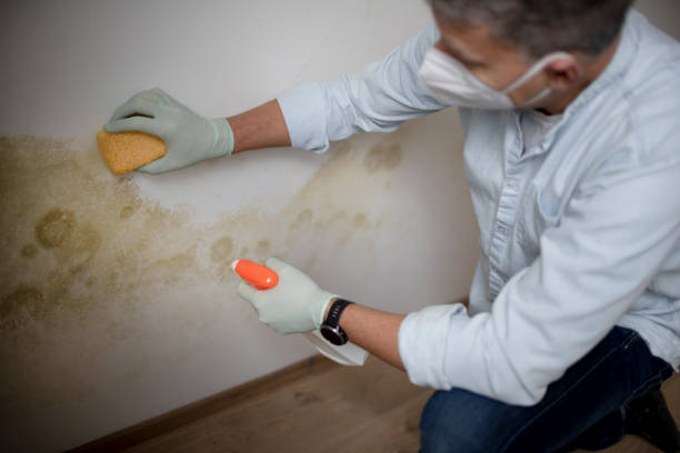 Best Water Damage Restoration  in Syracuse, KS