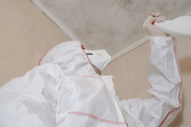 Trusted Syracuse, KS Mold Removal Experts