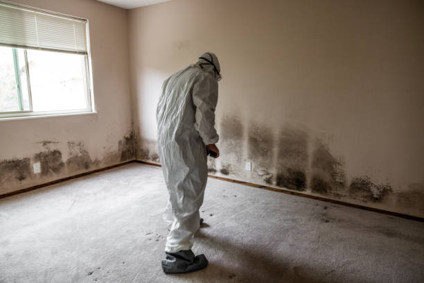 Best Emergency Mold Removal  in Syracuse, KS