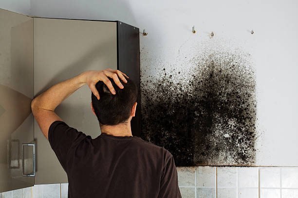 Best Mold Removal Specialists  in Syracuse, KS